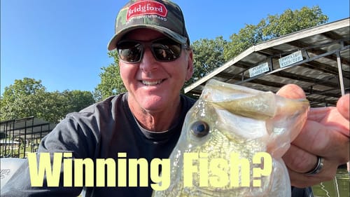 BFL Super Tournament/Lake Ozark…Final Day Practice Report