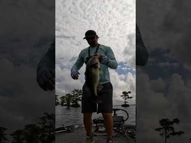 Big Bass SLURPS My Texas Rig!!!