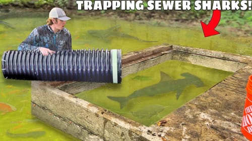 Trapping MONSTER Freshwater Sharks in SEWER!
