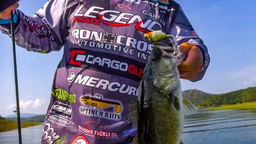 HAMMER TOADS with Frogs - Topwater Bass Fishing SECRET TIPS