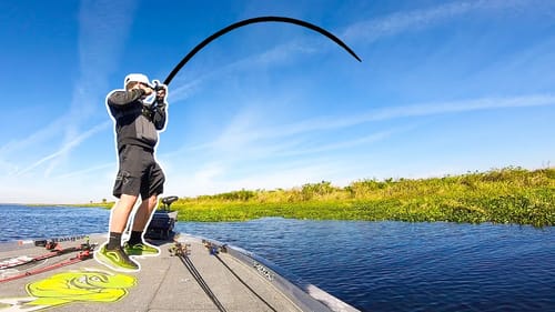 I CAN'T BELIEVE THIS WORKED.. (Big Bass Fishing)