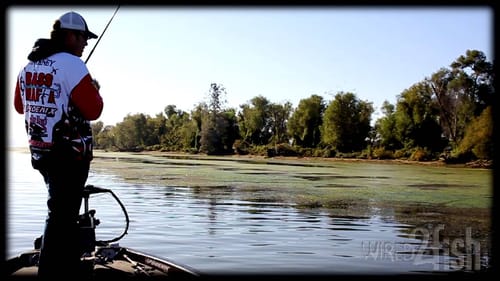Fishing Grass Class - Line Choices