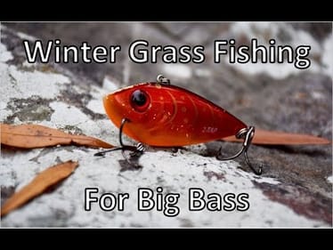 Winter Grass Fishing with Lipless Crankbaits