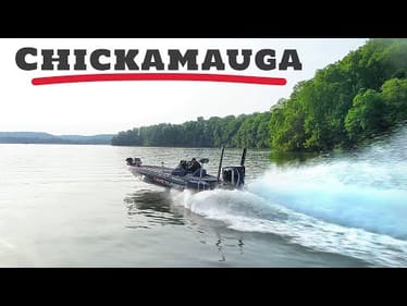 TRICKY CHICK - Deep or Shallow?