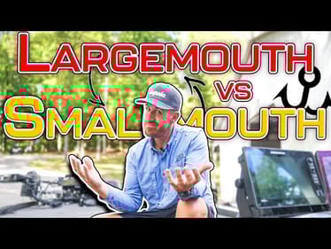 TOP BAITS of the MONTH ( September 2025 Edition 4K )