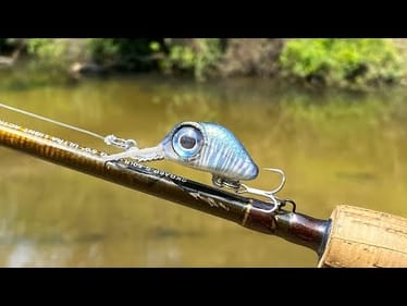 Nano Diver | One Day Build to Catch