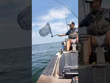 NOT a Smallie 👀