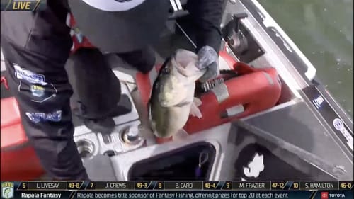 Hank Cherry's crucial cull on Championship Sunday of the 2020 Bassmaster Classic