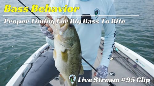 Hitting The Proper Timing For Getting Big Bass To Bite | FTM Livestream #95