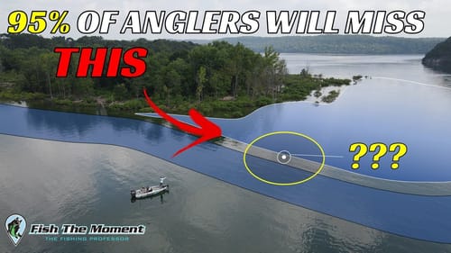 Beat Tough Summer Fishing With This Sneaky Pattern | #Catch15