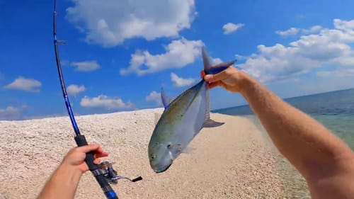 Ultra Light Tackle Fishing Coral Islands