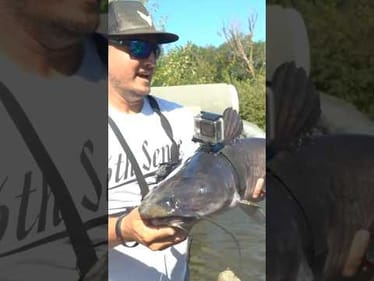 GoPro on a Giant Fish!