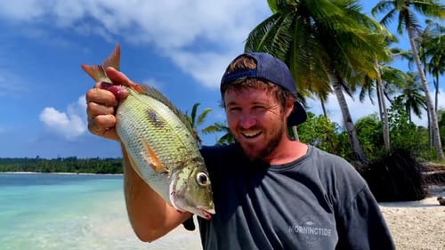 Catching lunch with local girl
