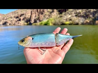 This Japanese Glide Bait Makes Fishing TOO EASY! (Non Stop Action)