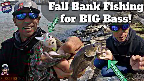 Fall Bank Fishing for BIG Bass!