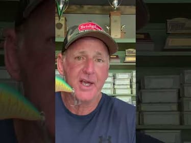Best Summertime Bass Fishing Technique