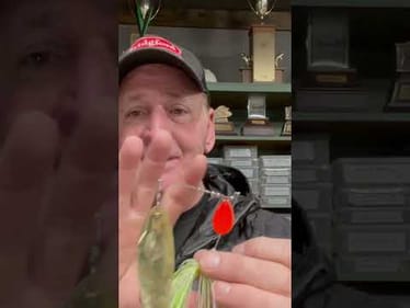 Best Spinnerbait Tip Ever