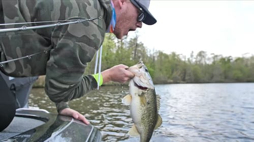 Bass Fishing by Copper Head Snakes