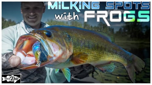 Tips for Milking Prime Bass Fishing Spots with Frogs