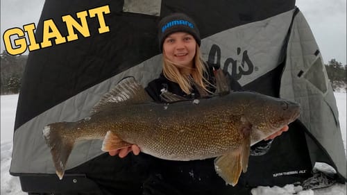 MASSIVE Walleye Camping on the Ice!! (Camping for Gold Ep.4)