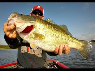 BIG Bass on Small Lures