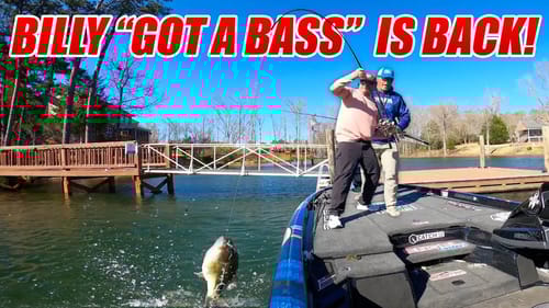 BillyGottaBass is BACK!!