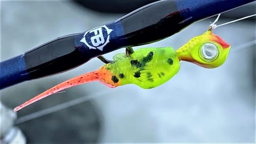 Epic Ice PreyBait | One Day Inject to Catch