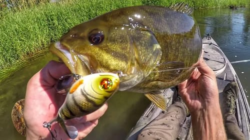 Ploppin' Some Summer Smallies