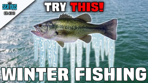 Unique Ways to Catch WINTER Bass