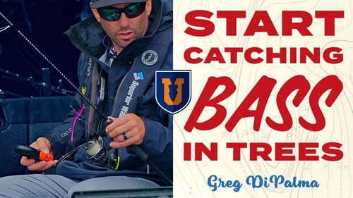 🎣 Mastering Kayak Bass Fishing: Pro Tips & Top Baits For Trees! 🚀 #FishingSecrets