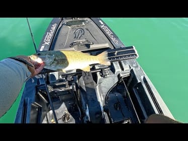 DAY 2-JENKINSON LAKE/SLY PARK BASS FISHING