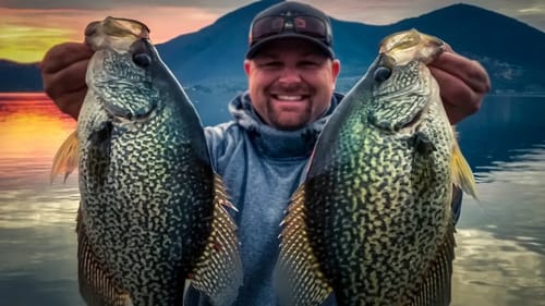How To Catch Huge Slab Crappie