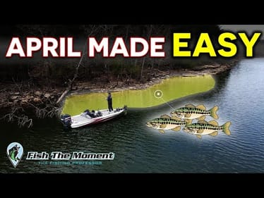 Big Bass Always Stack Up Here in April – Don’t Miss This!