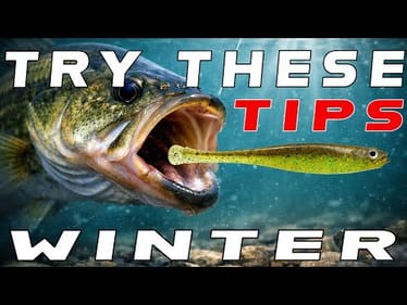 10 Dropshot Tricks For Cold Winter Bass Fishing!