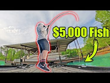I Caught a $5,000 Fish on a LAST MINUTE Flip! (Bassmaster Elite Series Lake Hartwell)