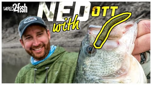 MASTER Ned Rig Fishing with Ott DeFoe