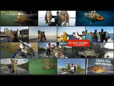12-19-2024 Mark Daniels Jr. on the Big Bass Dreams LIVE Stream