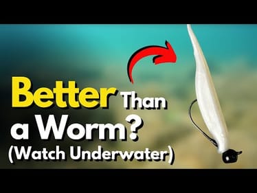 5 Shaky Head Lure ALTERNATIVES That Excel (Watch Underwater)