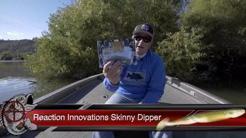 Best Swimbaits for Beginners!