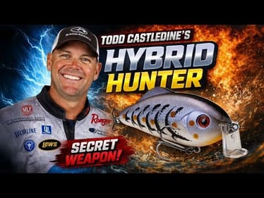 Todd Castledine's Hybrid Hunter Strategies