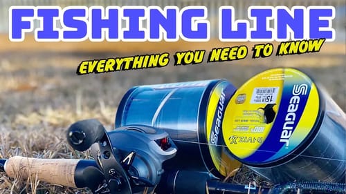 Best All Around Fishing Line