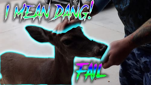 Won't Make This Mistake Again | Hand Feeding The Deer | VLOGMAS 2018 Day 13