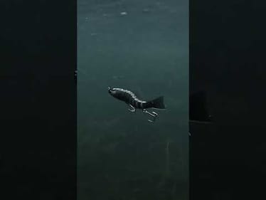 This thing is a TRIPPY big-bite getter 😵‍💫🔥