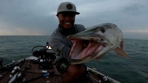 SIGHT CASTING FOR MUSKIES?! - #BigMuskyDreams