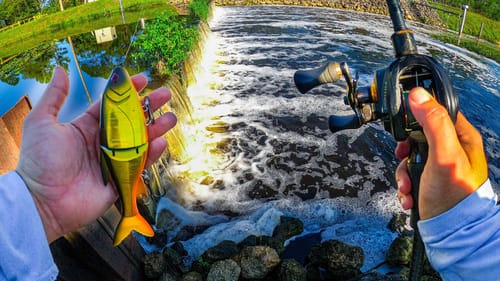The SECRET to Catching Fish in Difficult Areas!