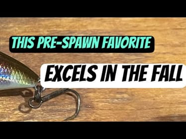 This Forgotten Crankbait Is Deadly On Fall Bass…