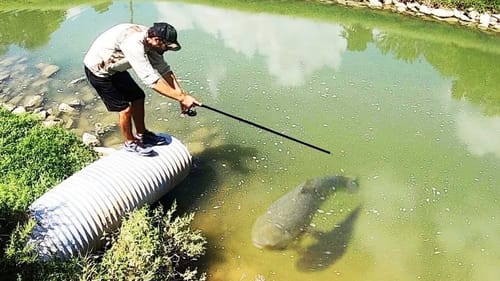 This MONSTER was in a CITY CREEK?!! (INSANE)