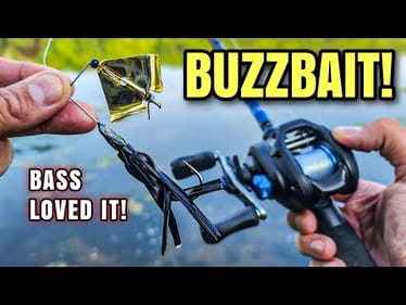Bass LOVE Buzzbaits (Try This NOW!)