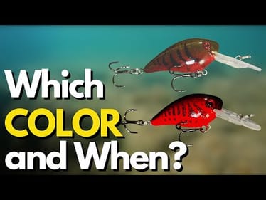 Biggest Crayfish Mistake Anglers Make (See HOW to Choose)