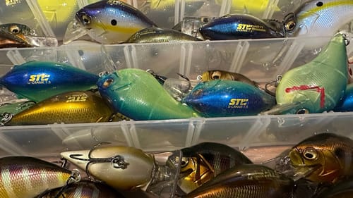 You’ll Never Guess Why Largemouth Bass Prefer THESE 3 Colors